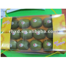 Vente chaude de fruits frais de kiwi